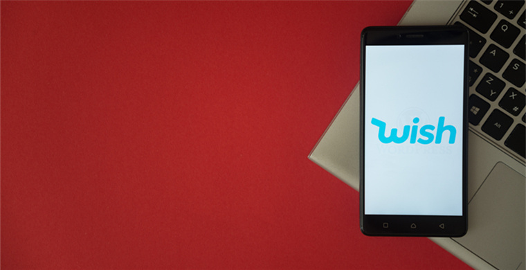 Zalo follower growth