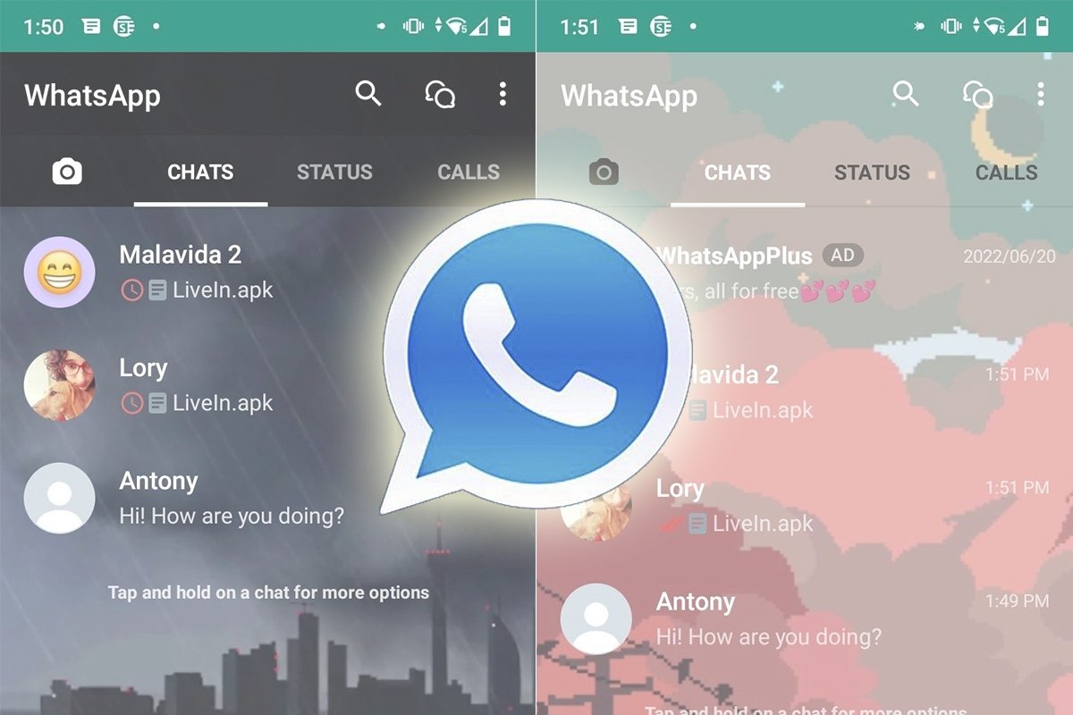 Discuss the Currently Popular Social App - Signal, the Private Chat Tool
